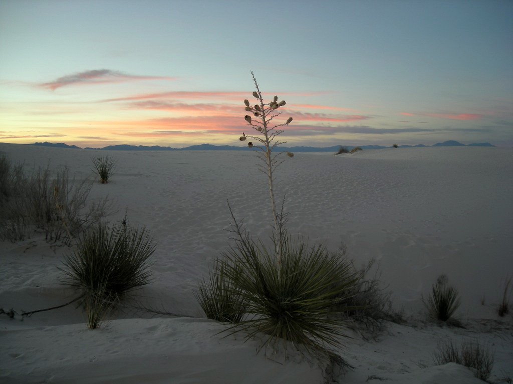 White Sands Sunset by eliot_garvin