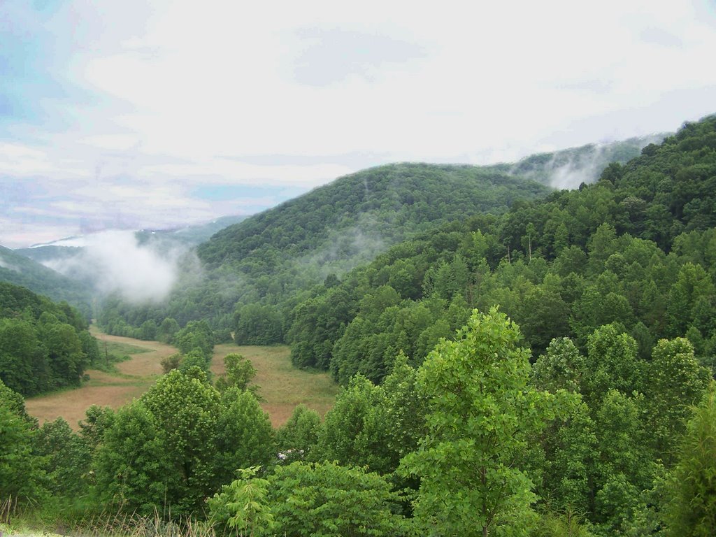 On the Scott/Campbell County line by laytham