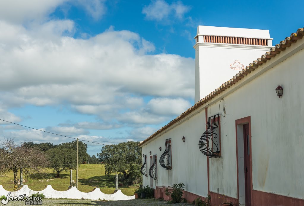 HERDADE DA REPRESA by Jose Caeiros