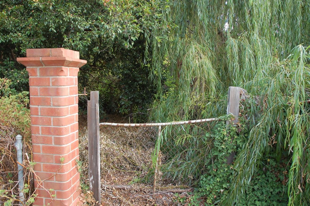 Gate at corner of Park Lane and Palmerston Road by darcy o'shea