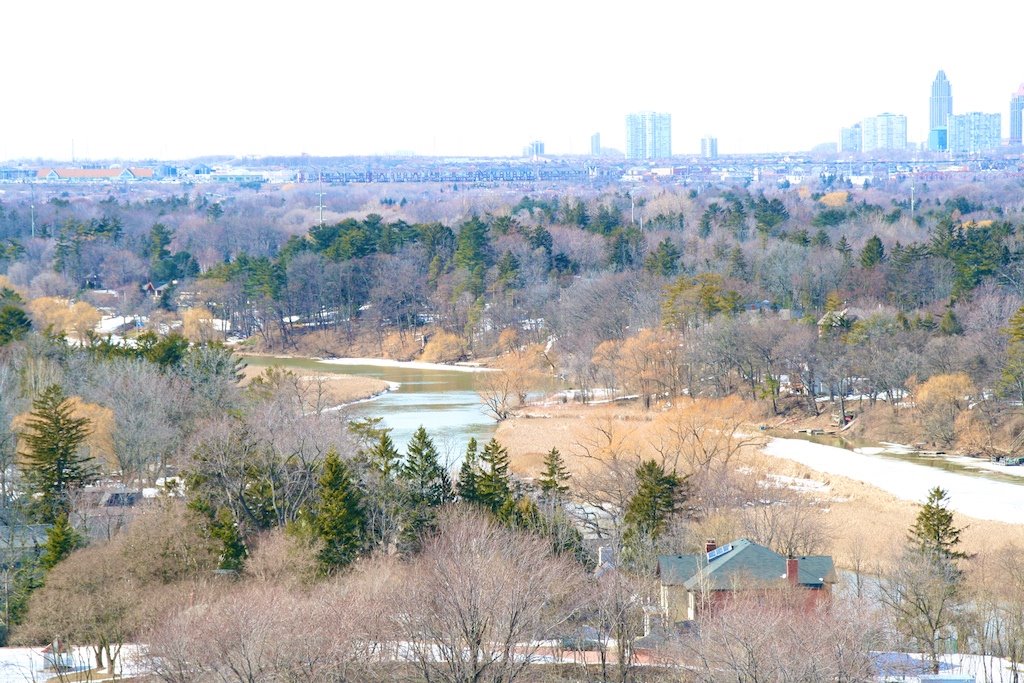 Mississauga Road View Winter by DaimYar