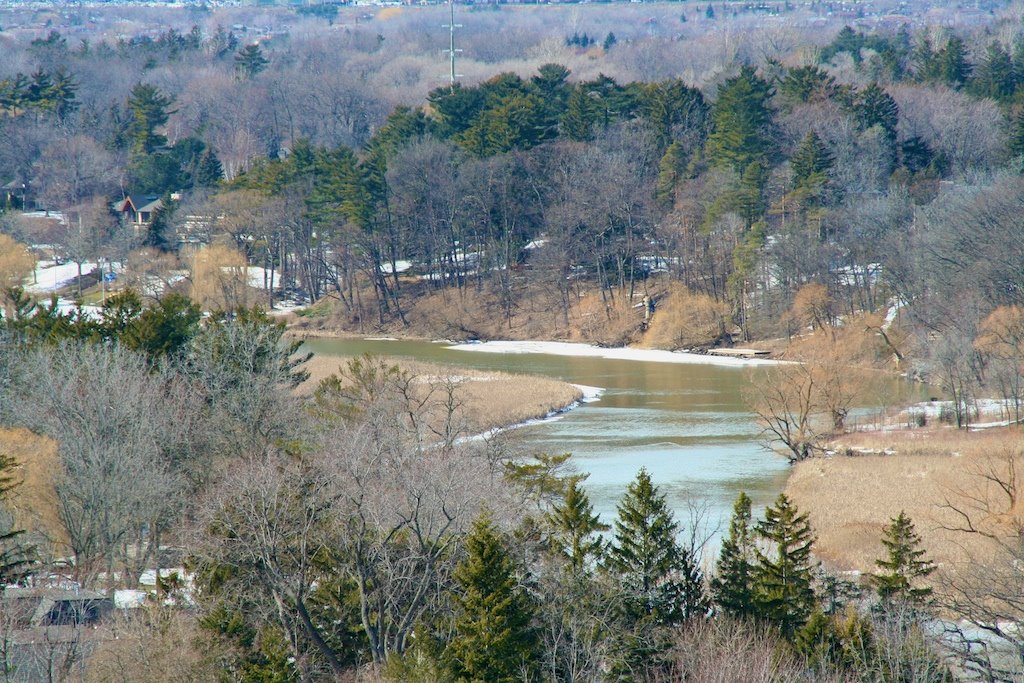 Mississauga Road View Spring by DaimYar