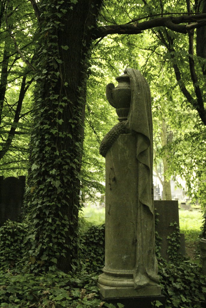 Łódź-The biggest Jewish cemetery in Europe-gb-33 by Millotaurus Grzegorz