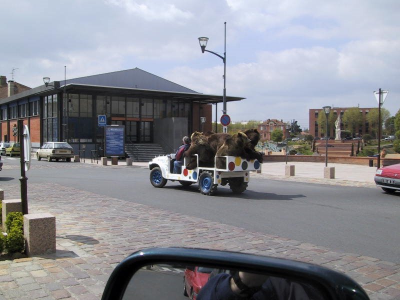 Muret les ours visitent la ville by Roger31600