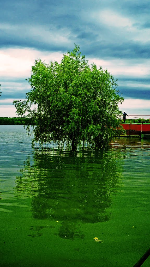 The Danube, Smârdan, Tulcea County by Transit_PO