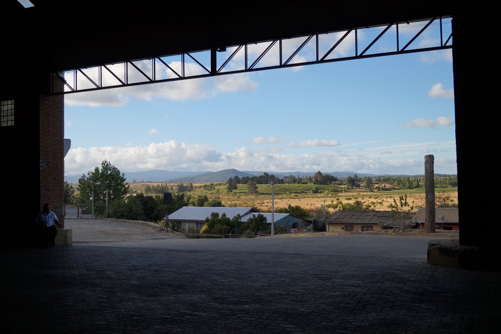 Entrada terminal de buses Cauquenes by DemianVan