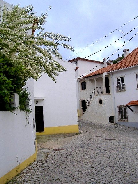 Rua da Barca in Dornes by Val de Mar