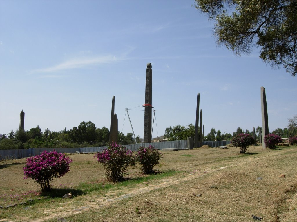 Axum, main Stelae field by Olivier Vuigner