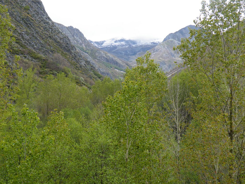 Camino a San Juliano by mikobolos