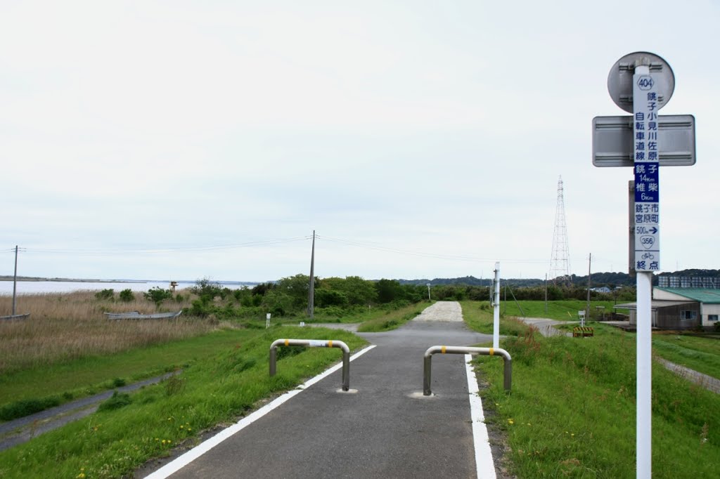 20090422　利根川の海から15km地点手前付近（銚子市） by rerereno-ozi3