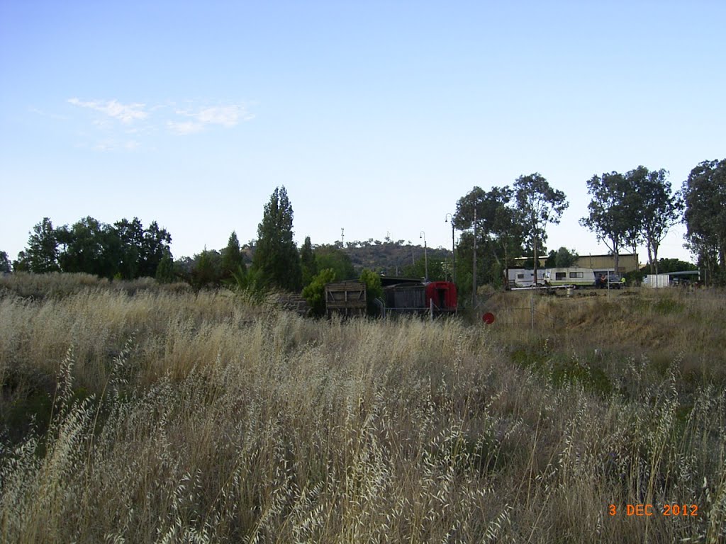 Cowra - Railway Relics, The Rear of Lachlan Valley Railways Depot - 2012-12-04 by sandyriva