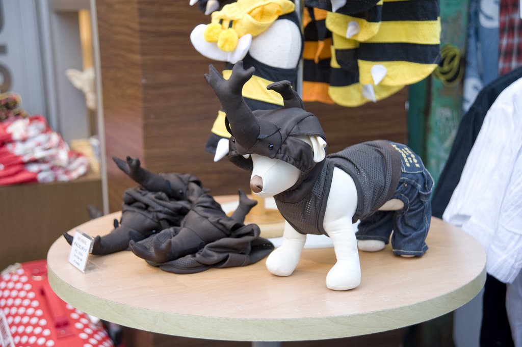 Dog clothes store on Takeshita Dori by Rukawa