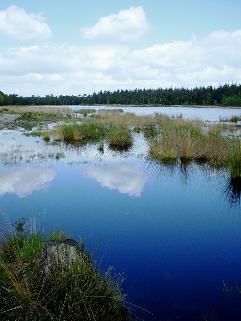 Buntven, Zandbosch, Deurne by uaf