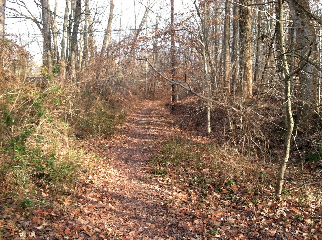 Cabin John Trolley trail aka The Washington and Great Falls Electric Railway, Glen Echo, MD by Midnight Rider