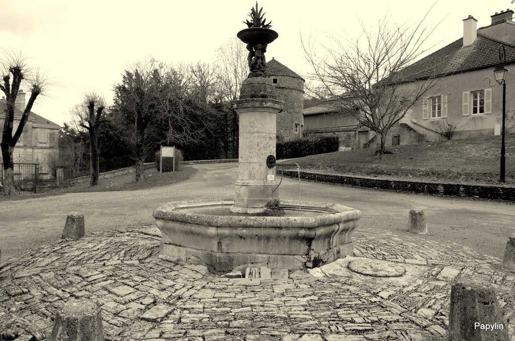 Fontaine by Alain /Papylin