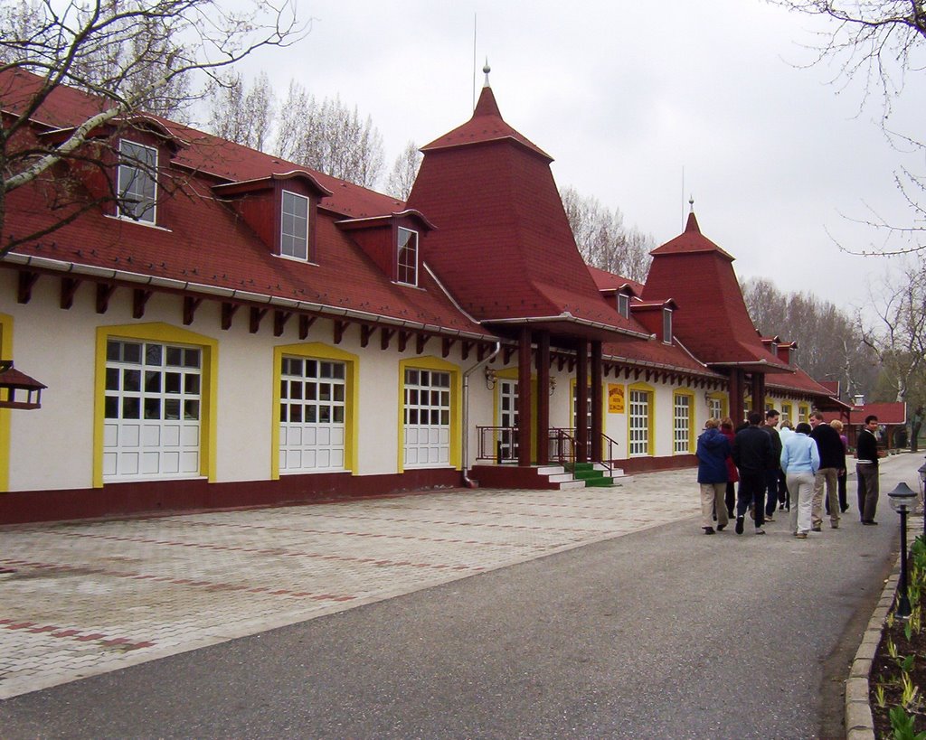 Fűzfa pihenőpark uszoda by Reni & Krisz