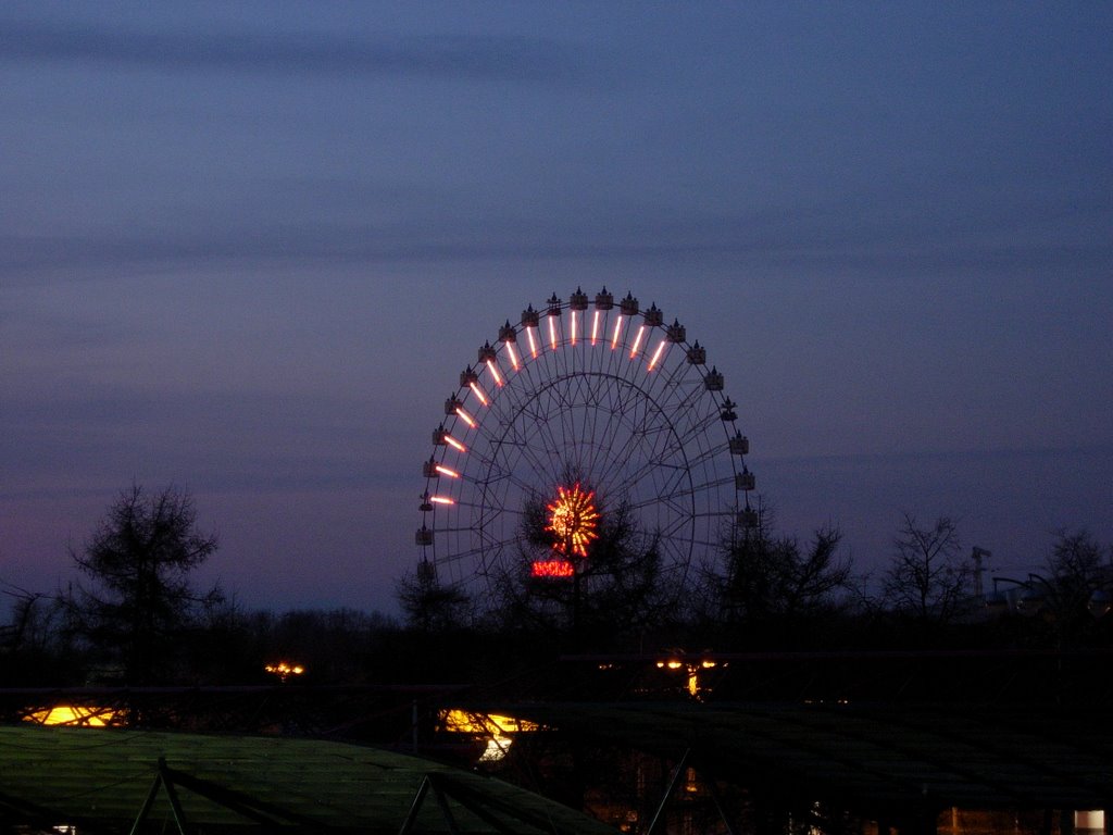 Night ferris wheel by Aleksey Cherskov