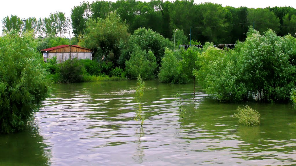 The Danube, Smârdan, Tulcea by Transit_PO