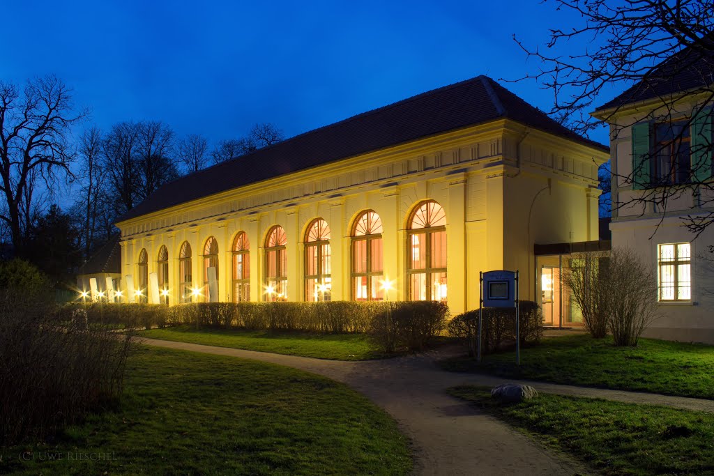 Orangerie und Restaurant im Luisium bei Nacht by Uwe Rieschel