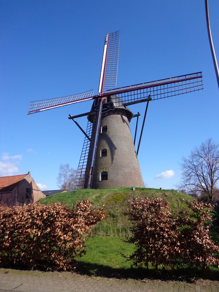 Molen Heimeulen Meerle (Belgie) by © rdnjc