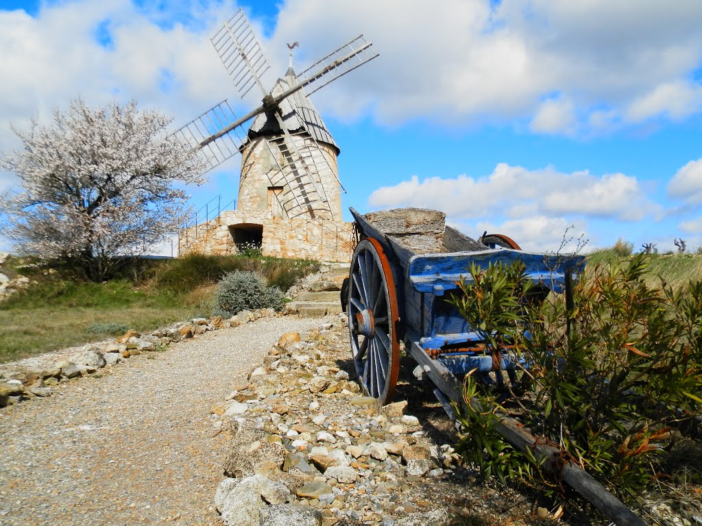 Moulin à vent by zicx