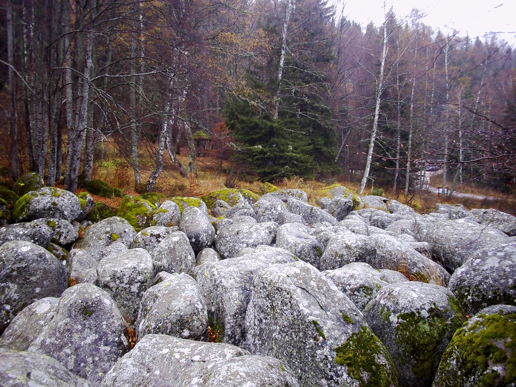 Vitosha by dani.bg