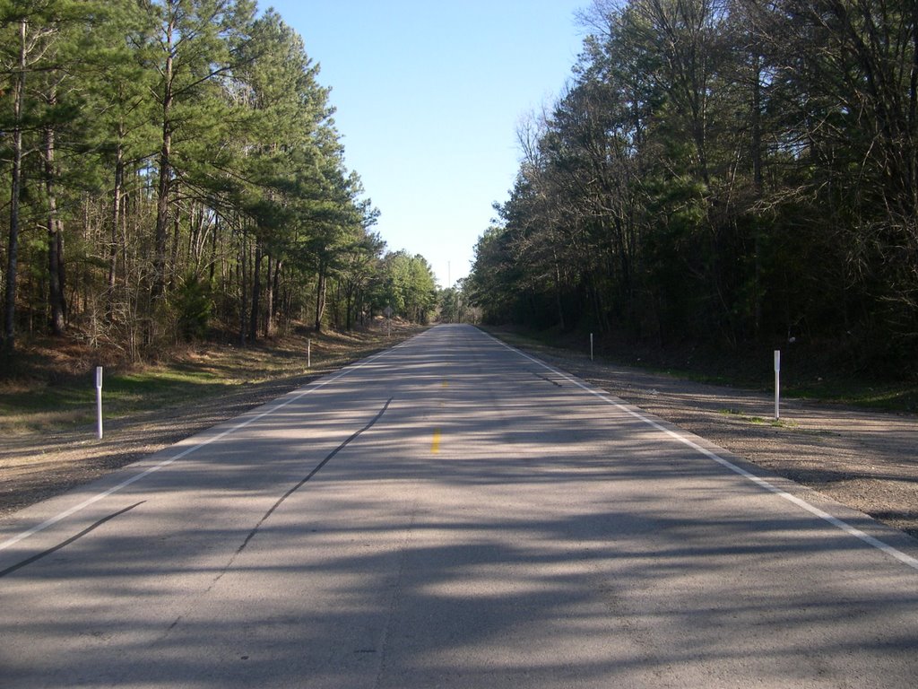 Walker County, TX, USA by jhwells