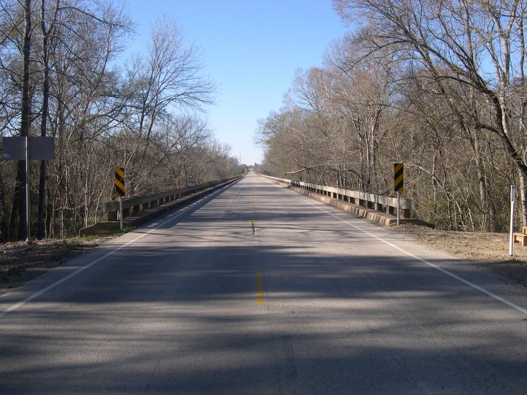 Walker County, TX, USA by jhwells