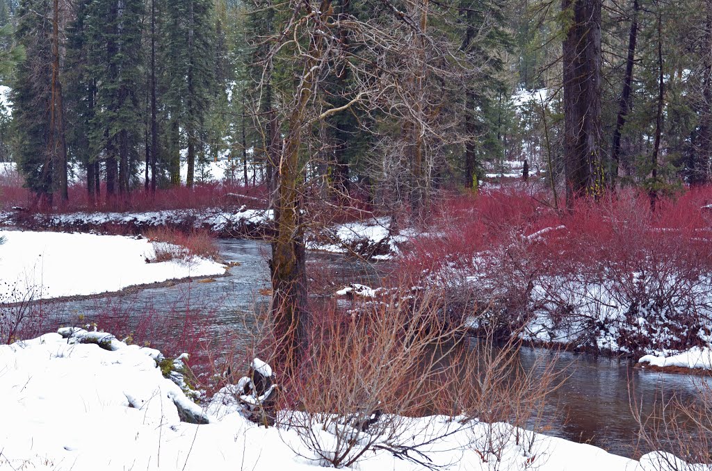 South Yuba River by NorCal Tim