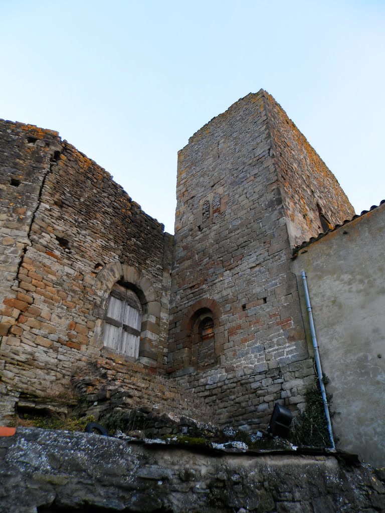 Château fort au centre du village by zicx