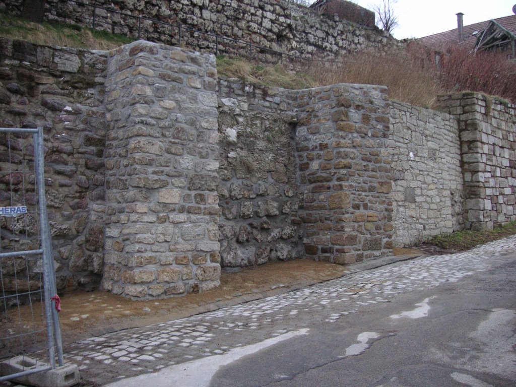 Nordhausen Neuerweg Stadtmauer 2008 by Manfred´s