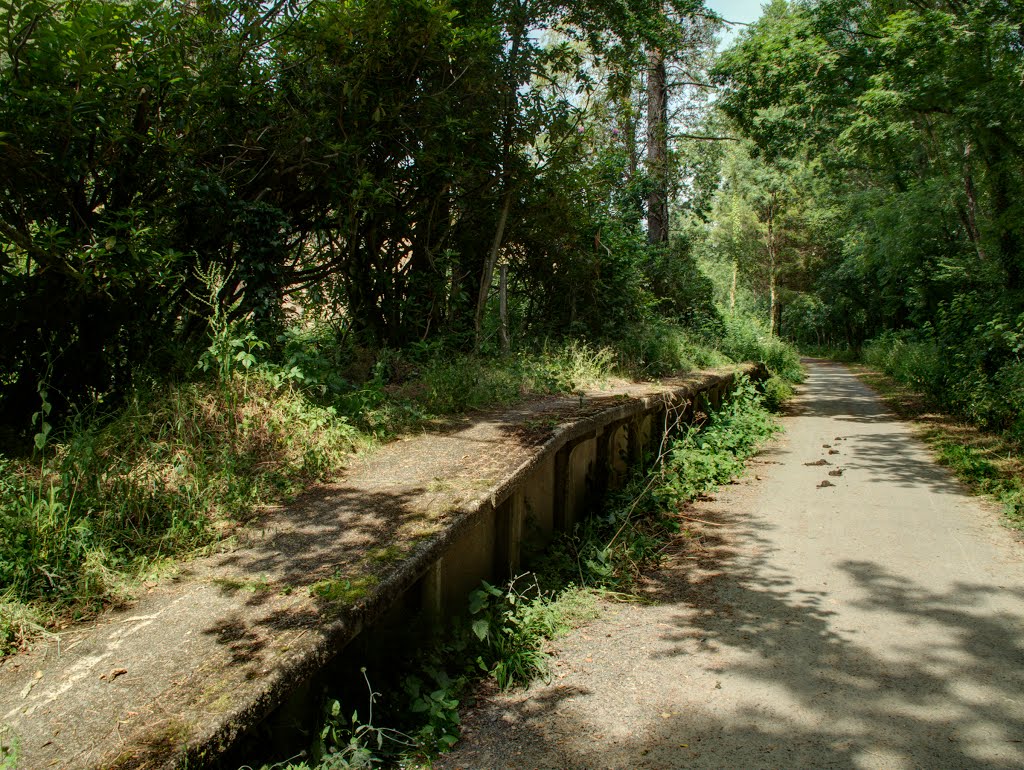 Watergate Halt platform, Torrington by Guybm