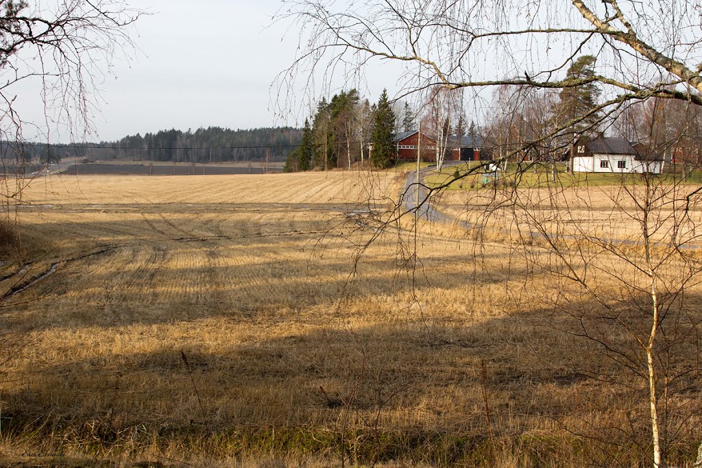 Early spring in Näsby - Pohja, Raasepori, Finland by Esa Ervasti