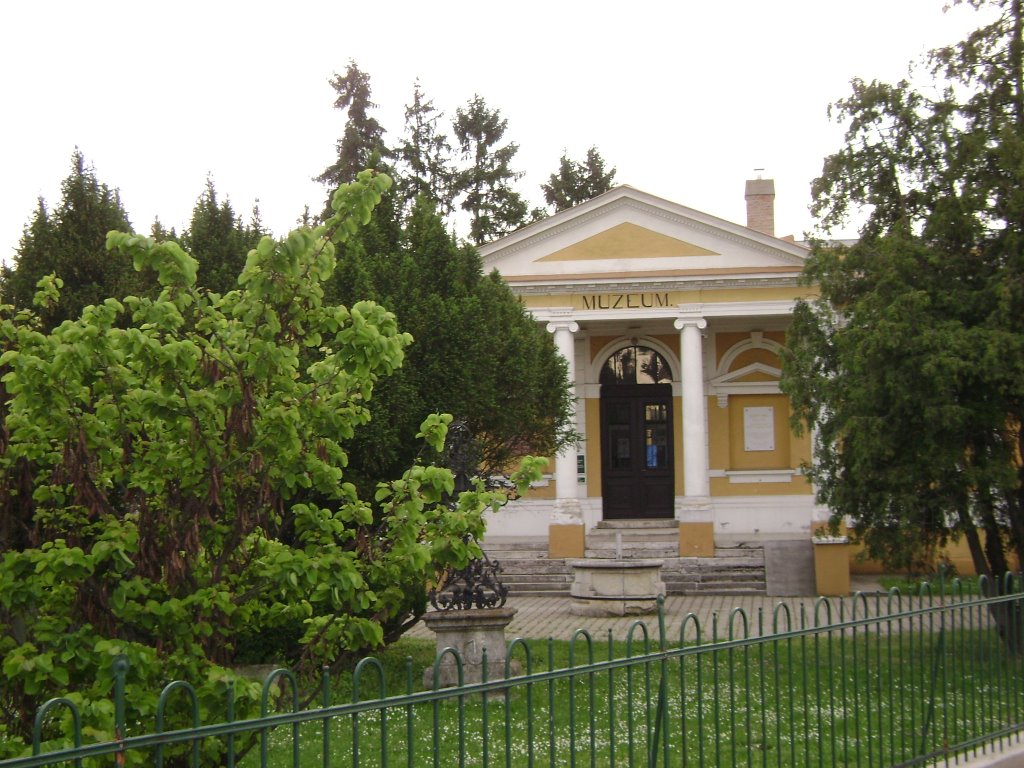 Hanság Múzeum, 18.May,2008 by PanoramioHungary