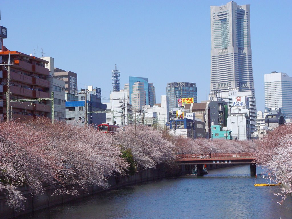 The View form Kogane Bridge by kobak