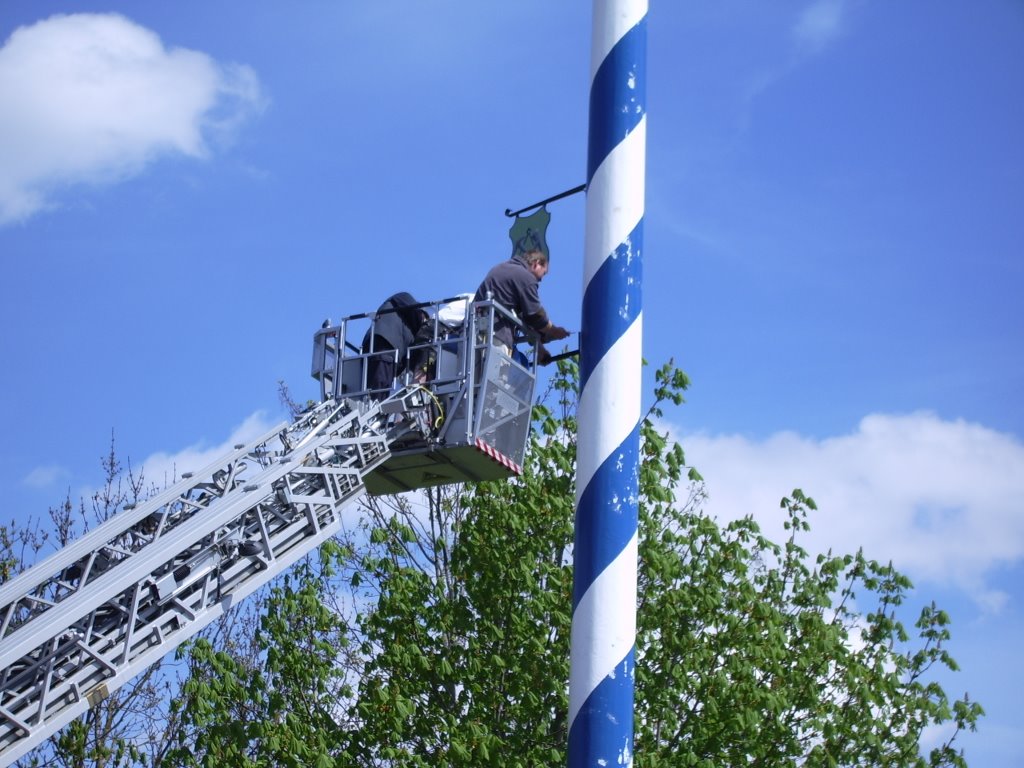 Maibaum Egmating by lreeg