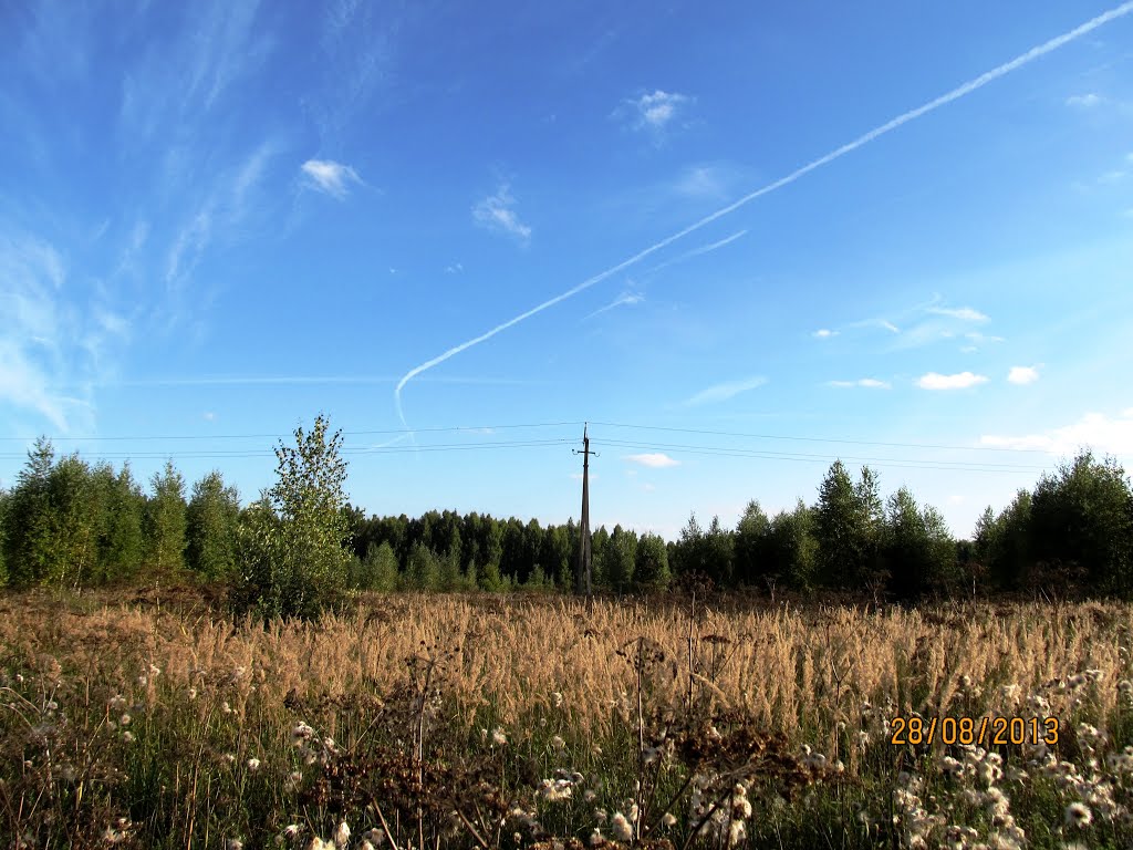 Фролово - Ченцово/ Frolovo village - Chentsovo village. by Vovasvetov