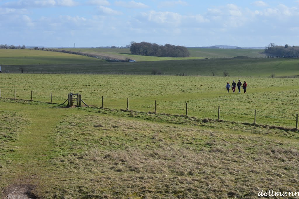 on the prairies beyond the Stonehenge by Lakshitha Abeynayake