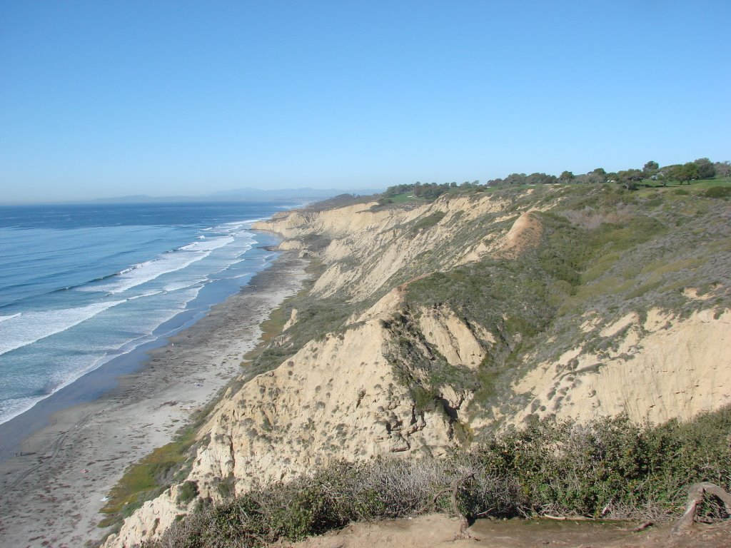 Torrey Pines by Alistair Cunningham