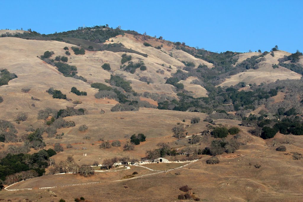 Macedo Ranch - Mt. Diablo State Park (East Bay Regional Park District) by MARELBU