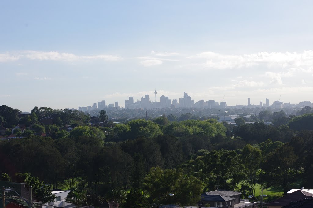 From suburb`s to the city of sydney by D.Saxberg