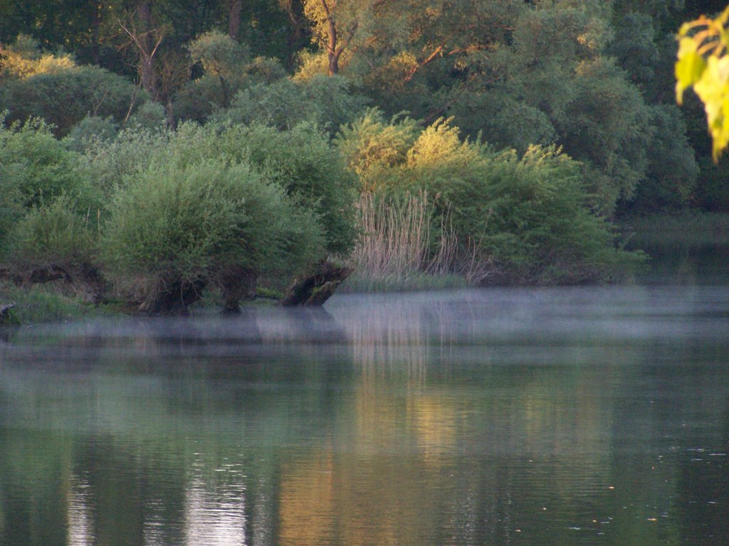 Le Delta de la Sauer à 06h30 le 08 Mai 08 by Dominique Alexandre