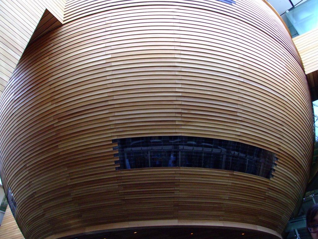 Wood Sculptured Office - Auckland Museum - 2008.02.27 by David R Williams