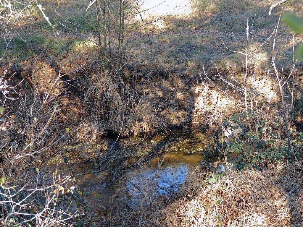 Miners Ravine Creek by Steve Schmorleitz, NationalParkLover.com