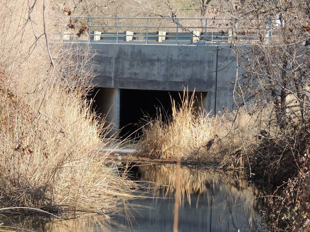 Sierra College Blvd Bridge crosses Miners Ravine by Steve Schmorleitz, NationalParkLover.com