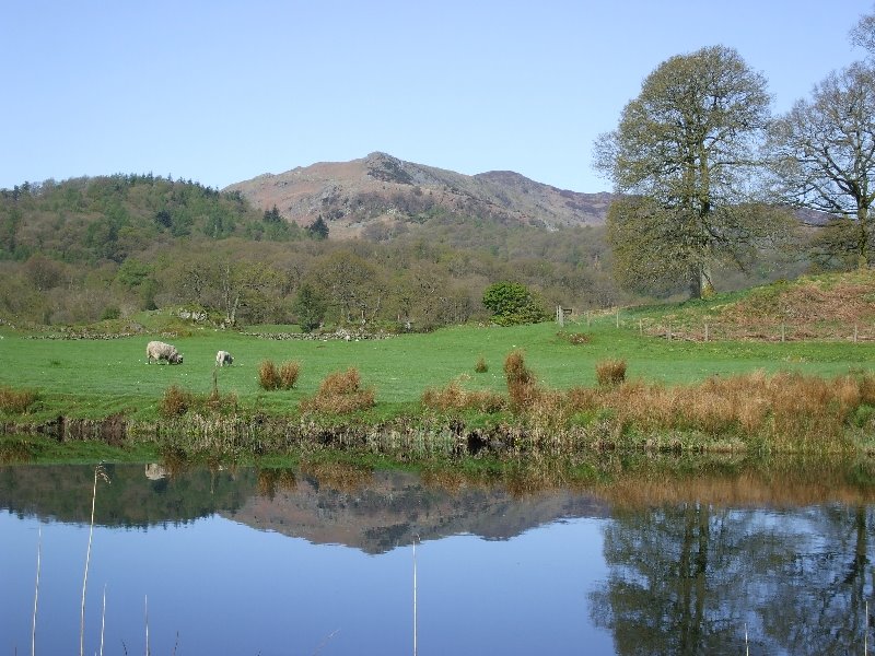 River Brathay (2008) by jk1812