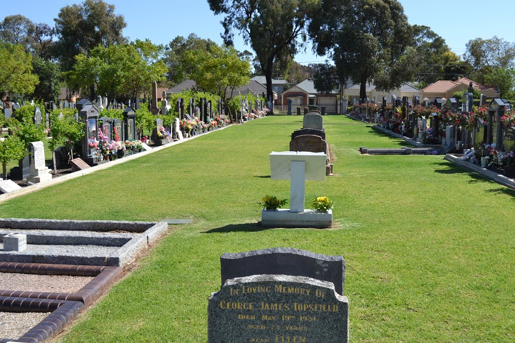 Unusual central (N to S) markers between rows by Phaedrus Fleurieu