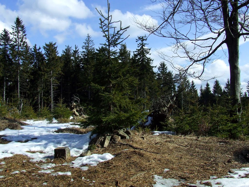 Vysoká Magura 1115m.npm. - wierzchołek by Roman ORJ Jaworski