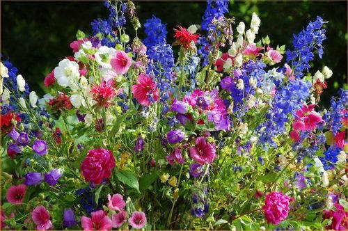 A colourful bunch in a vase by Roderick C Wahr