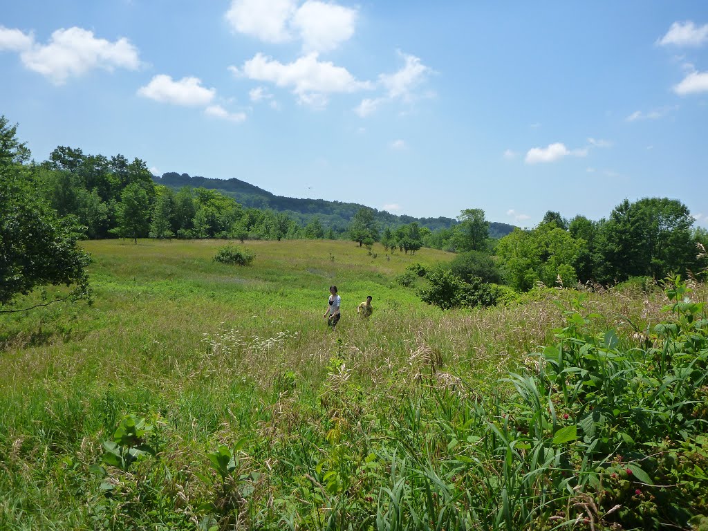 McMaster Forest (McMaster Conservation Corridor) by Sebastian Irazuzta